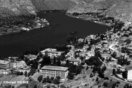 Halfeti